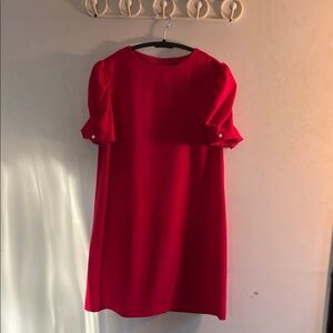 Zara Elegant Pink Puff Sleeve Dress Size Small